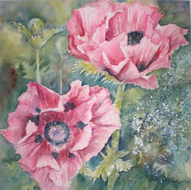 2009 Pink Poppies Watercolour